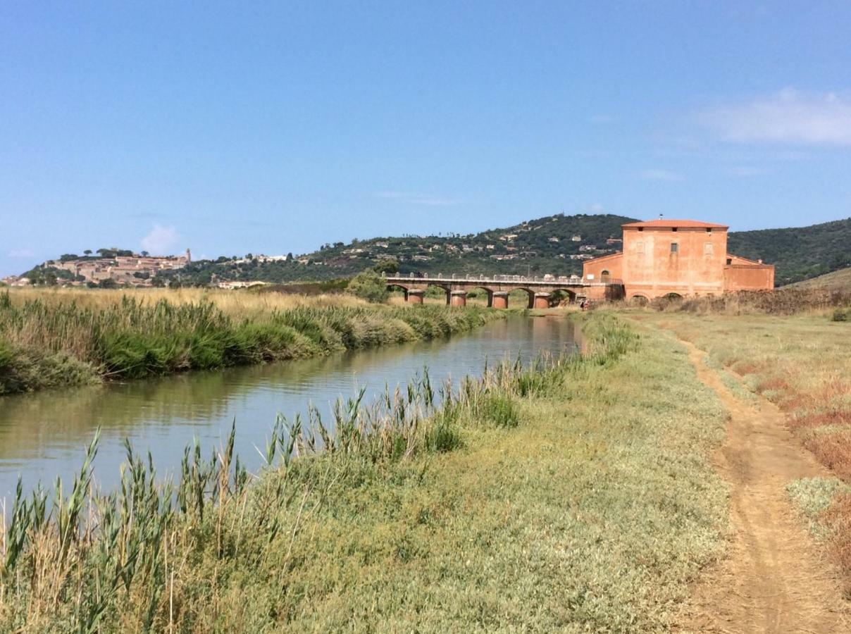 Direttamente Sulla Spiaggia Castiglione della Pescaia Zewnętrze zdjęcie